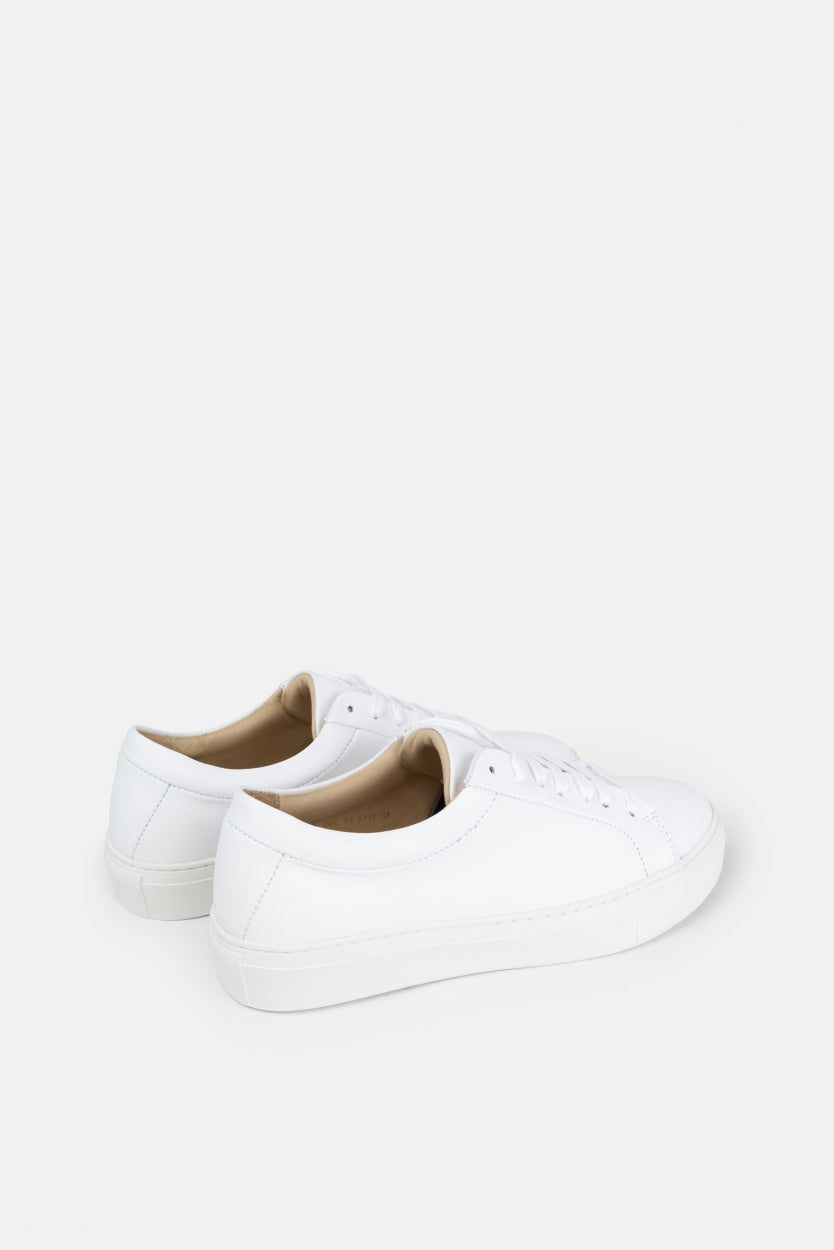 Elpique Derby Shoe 201 | White