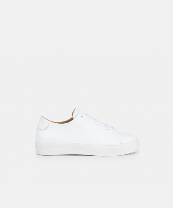 Doric Bound Derby Shoe 205 | White